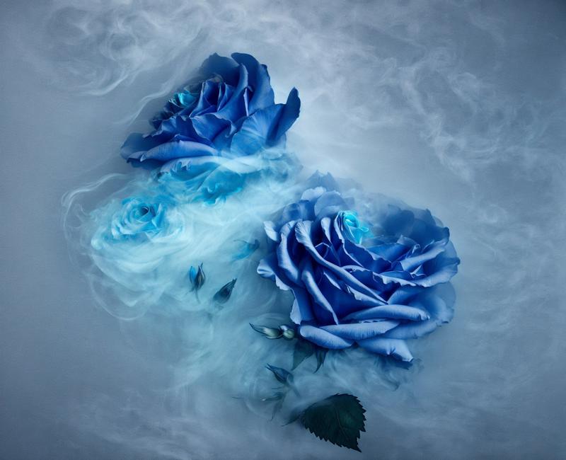 00515-4082144872-there are two blue roses that are in the smoke, liminal space photography, nebulous bouquets, inspired by Rachel Ruysch, nick kn.jpg